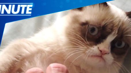 image de la news La Minute du lundi 3 juin 2013 est en ligne ! [VIDEO]
