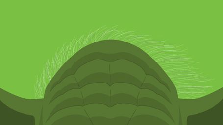 image de la news [Vu sur l'Internet] Des "Hunger Games" façon Disney, Sangoku vs Avengers, Breaking Bad simpsonisé...