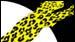 image de la news Locarno honore les distributeurs