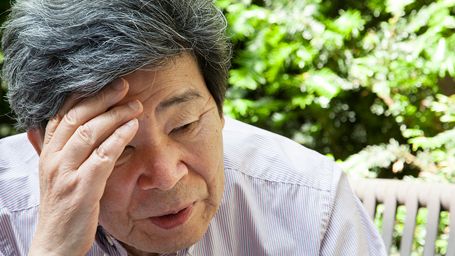 image de la news "Le Conte de la princesse Kaguya" : rencontre avec Isao Takahata