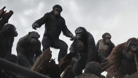 image de la news Extrait La planète des singes : une rencontre hors du commun