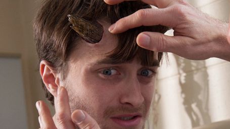 image de la news Affiche française de Horns : Daniel Radcliffe est-il un ange ou un démon ?