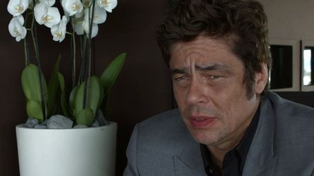 image de la news A Perfect Day : Benicio del Toro "aime jouer les perdants !"