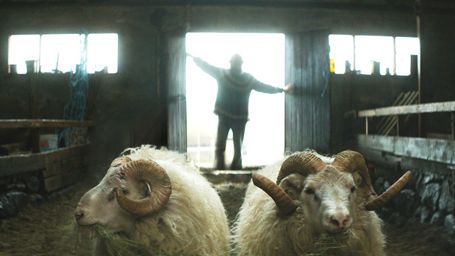 image de la news Cannes 2015 - Un Certain Regard : les Béliers au Palmarès 