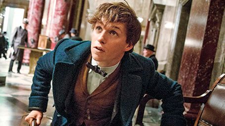 image de la news Les Animaux Fantastiques: l'intrigue du spin-off d'Harry Potter révélée