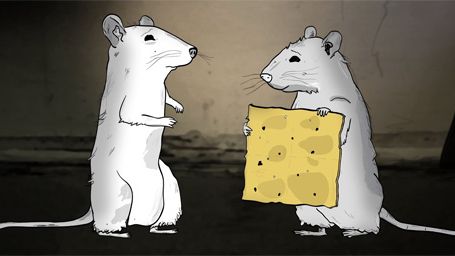 image de la news Animals : c'est quoi cette série ?