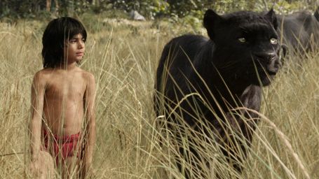 image de la news Le Livre de la Jungle : déjà une suite en développement !