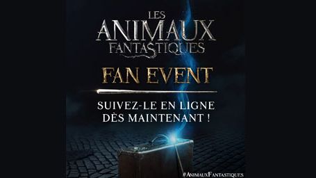 image de la news Les Animaux Fantastiques : suivez le fan event avec l'équipe du film en direct à 21h30