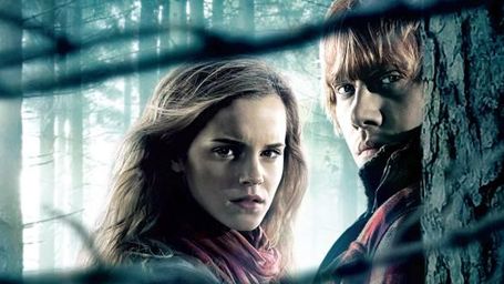 image de la news Harry Potter : le triangle amoureux qui aurait pu faire hésiter Hermione
