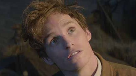 image de la news Qui est Eddie Redmayne alias Norbert Dragonneau dans Les Animaux Fantastiques ?
