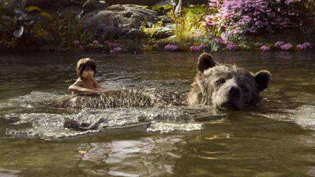image de la news Le Livre de la jungle (2016) sur Canal+ Family : saviez-vous qu’Andy Serkis travaillait sur un autre projet d’adaptation ?