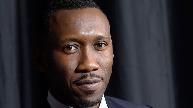 image de la news True Detective : Mahershala Ali confirmé au casting de la saison 3