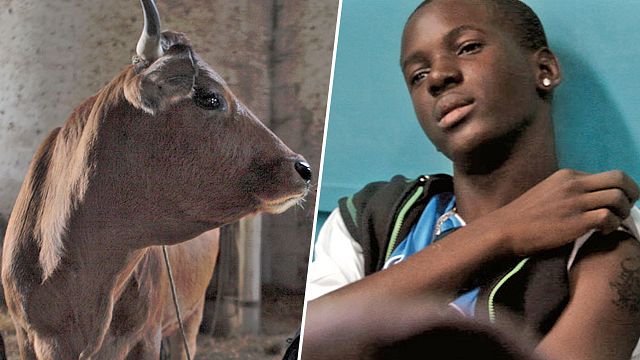 image de la news Programme TV lundi 11 mai : La Vache et Entre les murs
