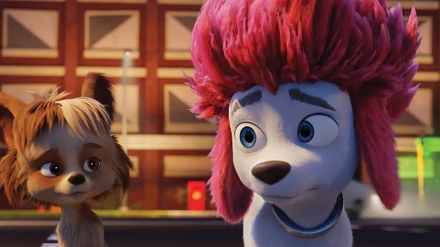 100 Loup Streaming Vf 100% loup - film 2020 - AlloCiné