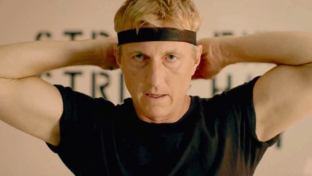 image de la news Cobra Kai sur Netflix : que signifie le titre de la série Karaté Kid ?
