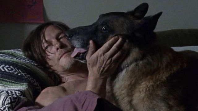 image de la news The Walking Dead sur OCS : l’épisode 18 sur le passé de Daryl fait réagir les fans de la série