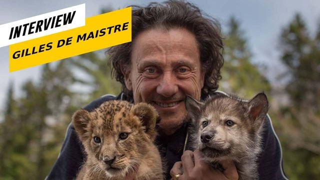 Le Loup et le lion : la "rencontre de deux prédateurs mythiques du cinéma" racontée par Gilles de Maistre
