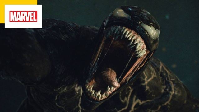 Qui fait la voix de Venom dans la suite ?