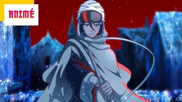 ADN, Wakanim, Crunchyroll : le nouvel arc de Bleach, un OAV pour Dr STONE et le final de Scarlet Nexus !