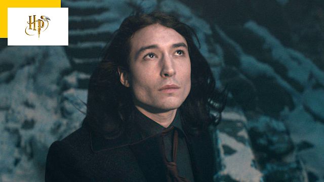 image de la news Ezra Miller : l'acteur des Animaux Fantastiques de nouveau arrêté pour agression