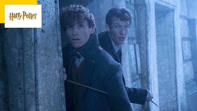 image de la news Les Animaux fantastiques 3 : quel avenir pour la saga Harry Potter après la sortie des Secrets de Dumbledore ?