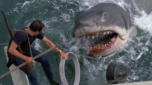 Les Dents de la mer : le joli message de Steven Spielberg avant le tournage du pire film de la saga