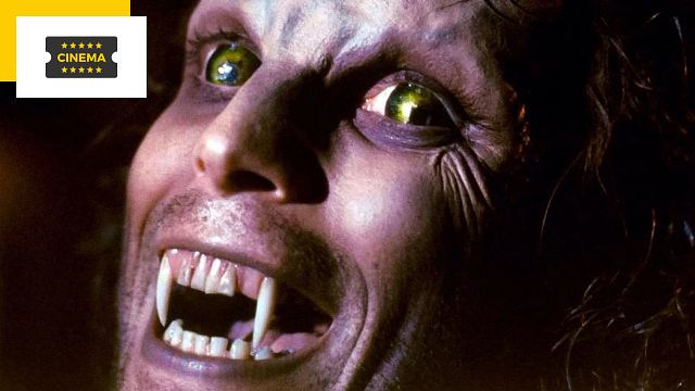 image de la news Ce film de loups-garous a traumatisé toute une génération ! Il ressort en salles et va vous faire hurler de peur