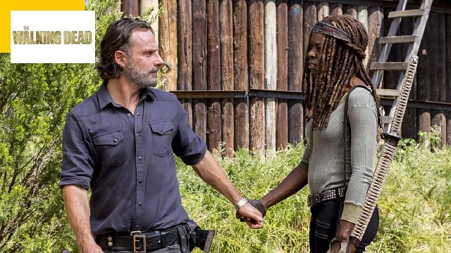 image de la news Walking Dead : une très bonne nouvelle pour les fans de Rick et Michonne