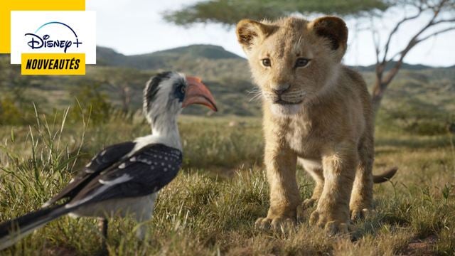 A voir sur Disney+ du 29 juillet au 4 août : Le Roi Lion version live, la série anthologique American Crime Story…