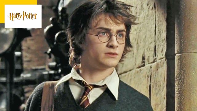 Harry Potter : pourquoi ce personnage a-t-il été ignoré par les films ?