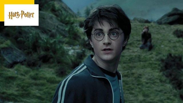 Il y a eu un autre Harry Potter avant Daniel Radcliffe... et vous n'en avez jamais entendu parler !