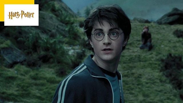 image de la news Il y a eu un autre Harry Potter avant Daniel Radcliffe... et vous n'en avez jamais entendu parler !