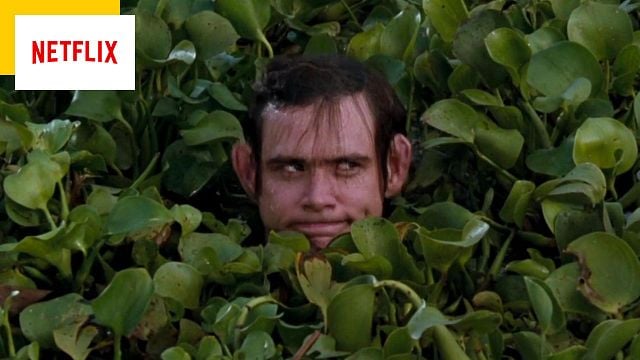 image de la news Netflix : un des films les plus drôles de Jim Carrey à vite retrouver sur la plateforme !
