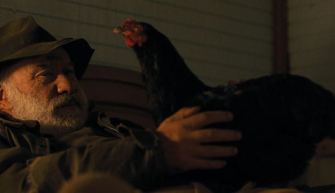 Photo du film Cocotte