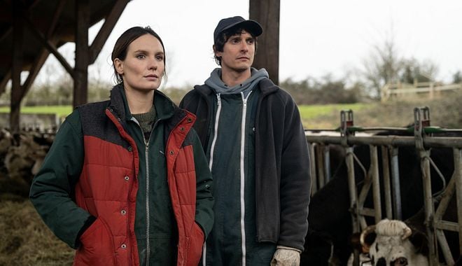 Photo du film La Guerre des prix