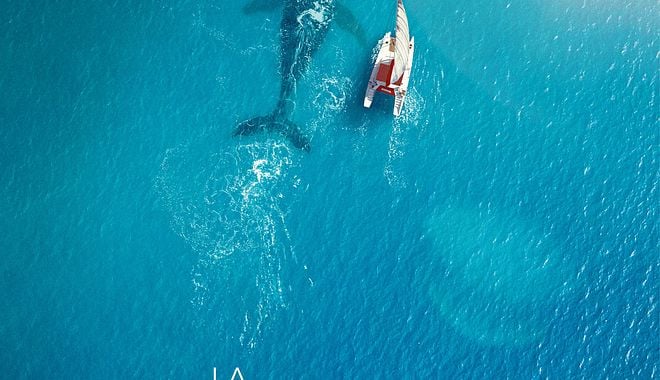 Photo du film La Baleine et le musicien