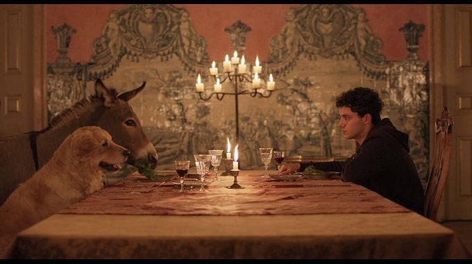 Photo du film L'Arbre de la connaissance