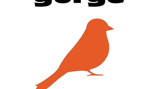 Photo du film Rouge-Gorge