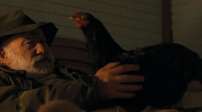 Photo du film Cocotte