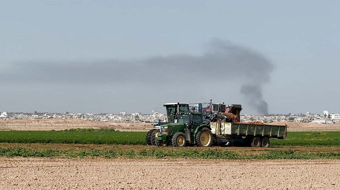 Photo du film Collapse (Face à Gaza)