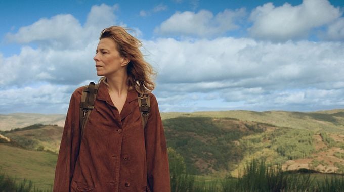 Photo du film Sauvage