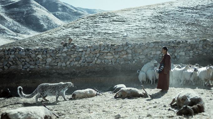 Photo du film Le Léopard des neiges