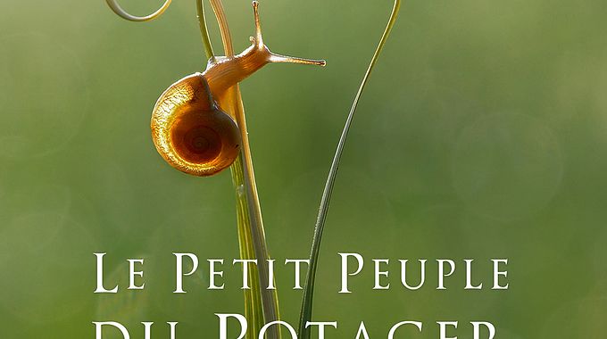 Photo du film Le Petit Peuple du Potager, Les Alliés Du Vivant
