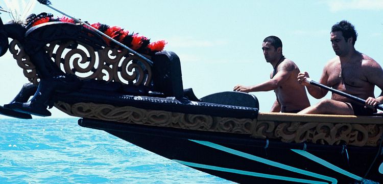 Paï L élue D Un Peuple Nouveau Paï : l'élue d'un peuple nouveau (2019) au Auch - Ciné 32