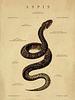 poster de Aspis