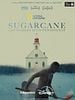 poster de Sugarcane : les ombres d'un pensionnat 