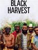 poster de Black Harvest