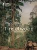 poster de Tinselwood