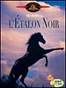 poster de L'Etalon noir