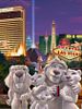 poster de Le Roi de Las Vegas